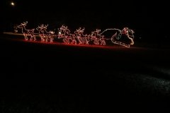 IMG_5245