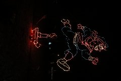 IMG_5258