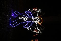 IMG_5269