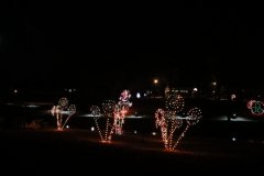 IMG_5272